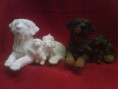/album/cachorros/ogaaagzd-pnf1t0tdlyzac5iaz0jtqzrihj4ohodn1tdnmul5i2eh53dr8ipybyd3h77ujxxzbxd4qtz8pheea1aojgam1t1umsb3zgqj-pm9at4np3xd5rxcjzc-jpg/