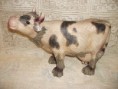 /album/vacas/dscf1153-jpg/