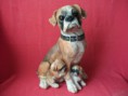 /album/cachorros/dscf1261-jpg/